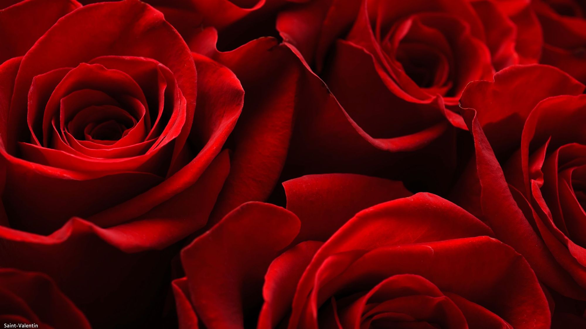Février sous le signe de la musique, du partage et de l’amour !